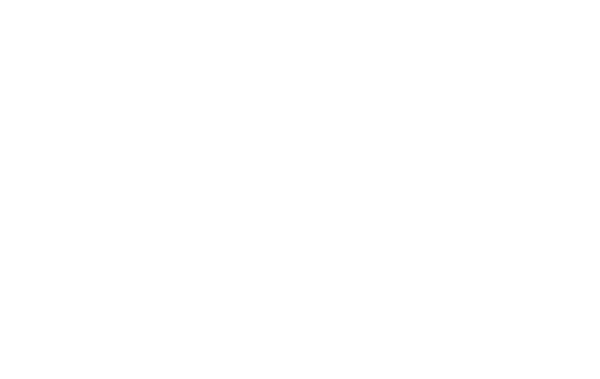 SFI-01135 SFI NH Logo - White